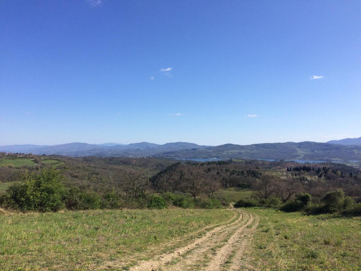 Agriturismo Corzano バルベリーノ・ディ・ムジェッロ エクステリア 写真